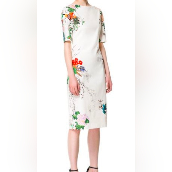 Zara Womens Boat Neck Floral Cotton Dress Sz L - Picture 6 of 8